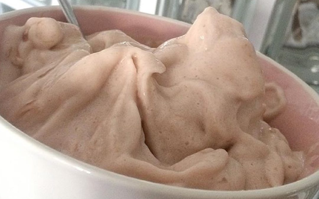 Ricette gelato light proteico Dott.ssa Elettra Terzani Nutrizionista